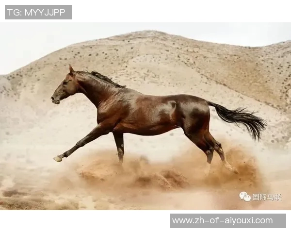 养马情结的足球巨星们：那些与马匹结缘的传奇球员与他们的马场生活